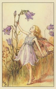 The Harebell Flower Fairy Vintage Book Stunning Postcard