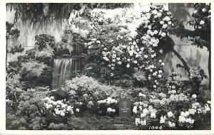 Flower Exhibit with Plaque: This Exhibit won the Superior M