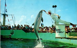 Jumping Porpoises Marineland Florida FL Riviera Beach Cancel Postcard WOB Note 