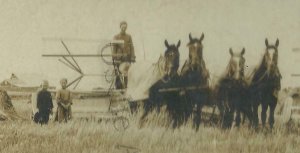 North Dakota RPPC c1910 FARMING Farm HARVEST SCENE Wheat Field SWATTING Reaping