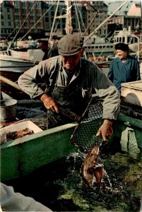 Postcard from Bergen fish market, bustling with activity.