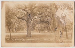 c1910 SEWARD Nebraska Nebr Real Photo RPPC Postcard FAIRGROUNDS Trees