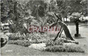 Modern Postcard Vichy Allier Queen of Cities of waters in the large parks flo...