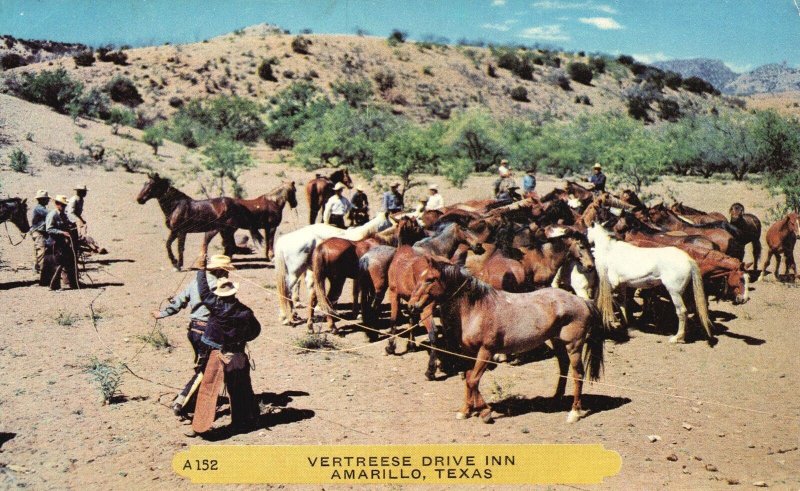 Vintage Postcard Vertreese Drive Inn Horses Cowboys Mountain Amarillo Texas TX