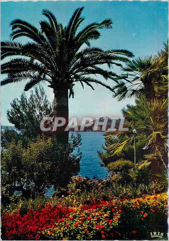 Postcard Modern Reflections of the French Riviera Landscape Mediterraneen