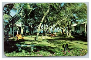 Vintage 1951 Advertising Postcard River Oak Hotel Court Melbourne Florida
