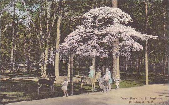 North Carolina Pinehurst Deer Park In Springtime Albertype