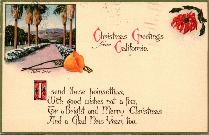 California Christmas Greetings Showing A Palm Drive 1929