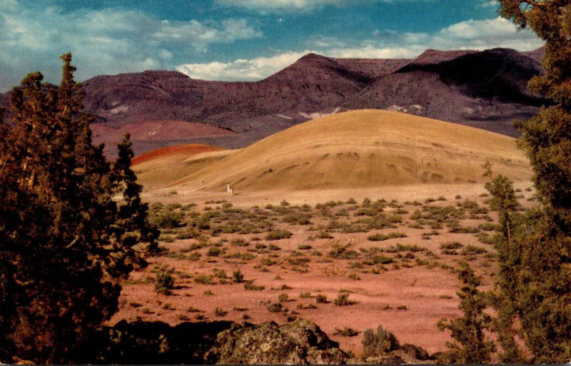 Oregon John Day Formations