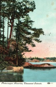 Vintage Postcard 1910's Picturesque America River Forest View Thousand Islands