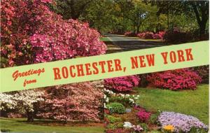 Greetings from Rochester, New York