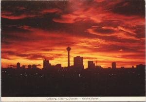 Calgary Alberta AB Skyline Sunset c1977 Vintage Postcard D37