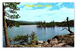 Payette Lakes Idaho Scenic View Postcard