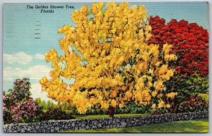 Vtg Florida FL Golden Shower Tree 1940s Linen View Postcard