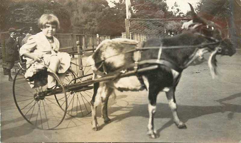 c.1910s RPPC Postcard; Little Girl In Goat Cart, Loraini, Unknown US Location