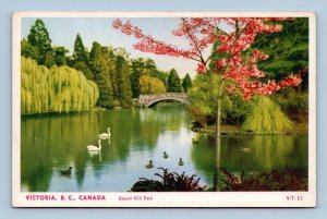 Pond and Bridge Beacon Hill Park Victoria BC Canada UNP WB Postcard B14