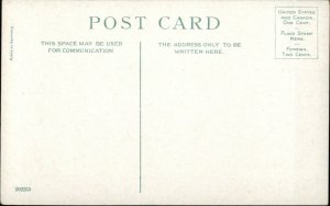 Native American Indian Chiefs c1910 Postcard - YELLOW HAIR