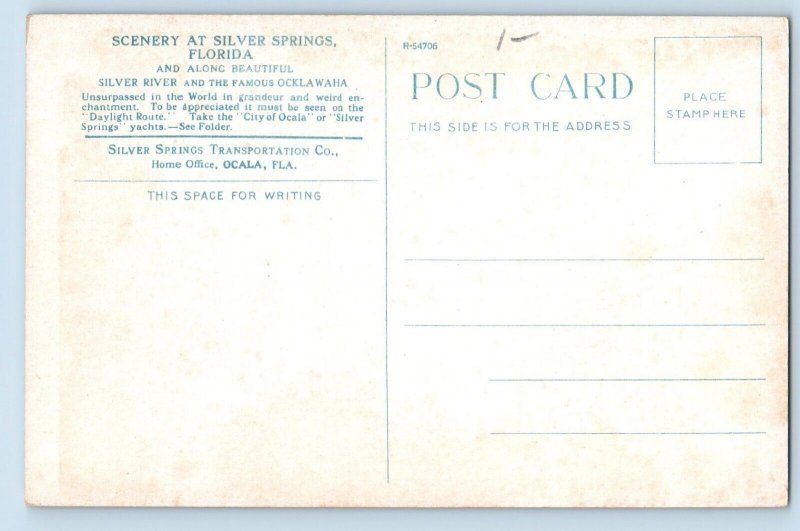 Silver Springs Florida FL Postcard Ocklawaha Approaching Carmichael Ranch c1910