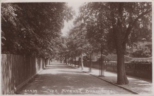 Digging Military Trenches in The Avenue Braintree WW1 RPC Postcard