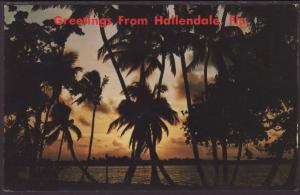 Greetings From Hallendale,FL Postcard BIN