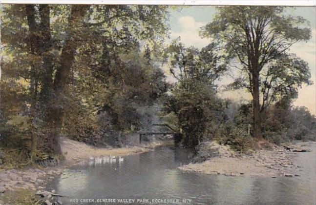 New York Rochester Red Creek In Genesee Valley Park 1911