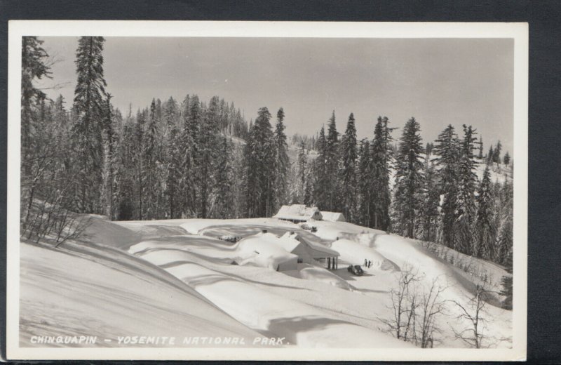 America Postcard - Chinquapin - Yosemite National Park, California   T5034