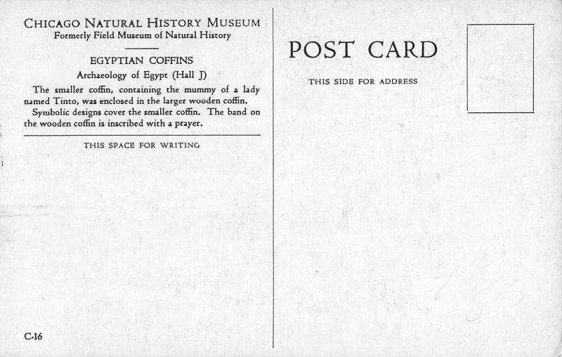 CHICAGO NATURAL HISTORY MUSEUM ILLINOIS~EGYPTIAN COFFINS POSTCARD