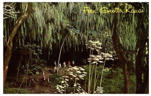 Fern Grotto Lace Like Curtain Kauai  Hawaii Postcard 1969