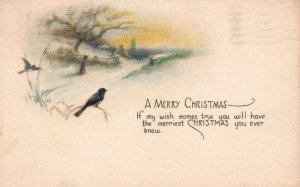 Vintage Postcard 1922 A Merry Christmas Bird Landscape Holiday Yuletide Season