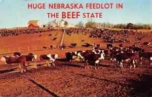 Island Park Nebraska~Huge Feedlot~Cows~Farm Barns~Silo~1975 Postcard