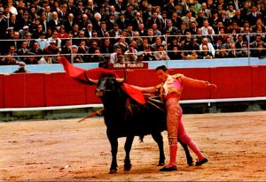 El Cordobes Bull Fight Matador and Bull