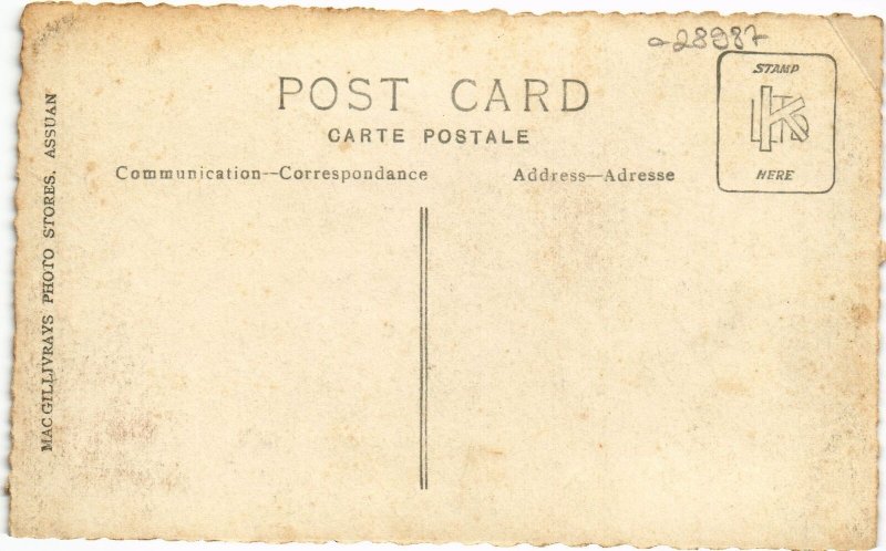 PC REAL PHOTO ASSUAN EGYPT (a28987) 