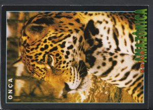 Animals Postcard - Jaguar - Onca, Manaus-Am-Brasil - Posted 2006 - RR4574