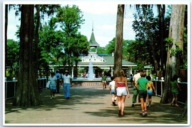 Postcard - Cypress Trees Line the Entrance to Florida's Silver Springs, USA