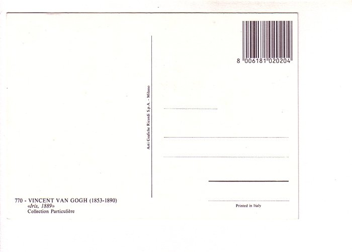 Irises by Vincent Van Gogh, Museum Marmottan Paris,