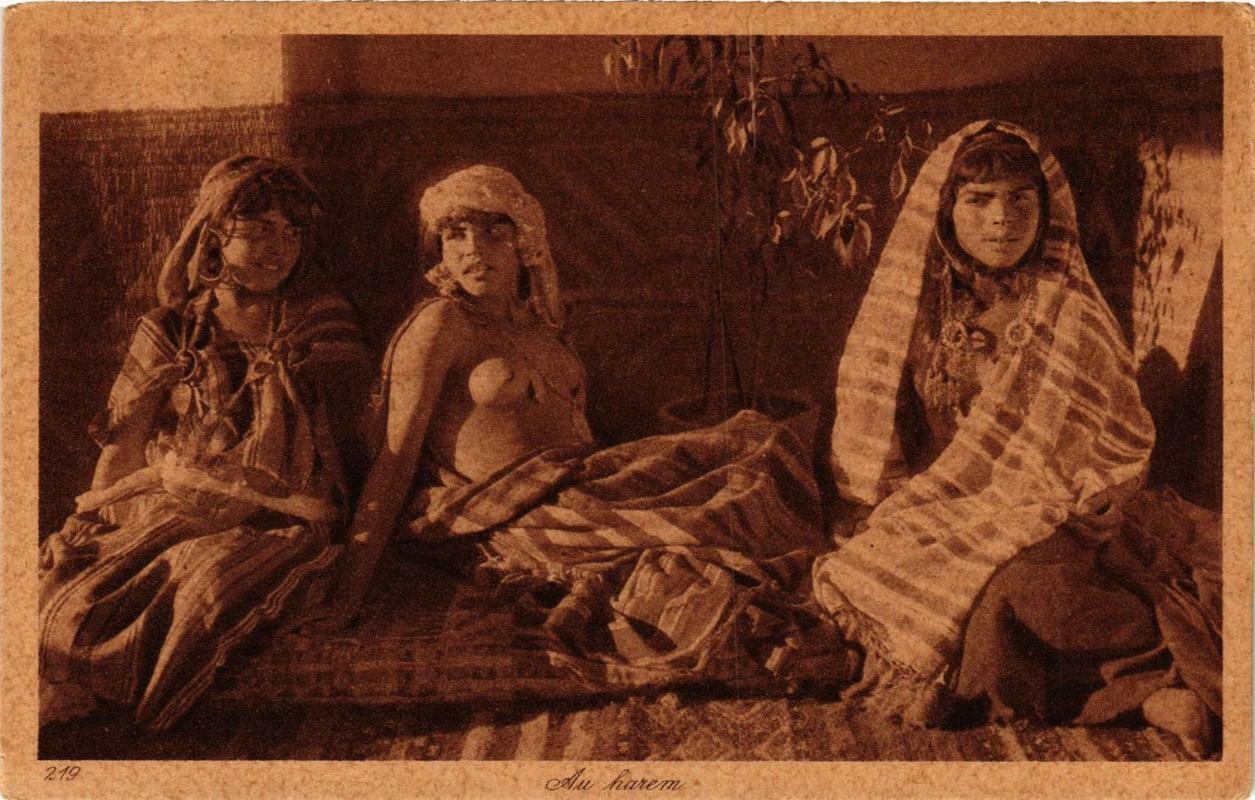 Pc Cpa Au Harem North Africa Female Ethnic Nude A9951 Africa Other Postcard Hippostcard