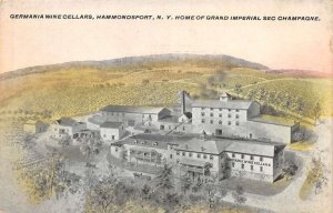 Hammondsport New York Germania Wine Cellars Birds Eye View Postcard AA110076