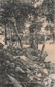 Through the Birches Thousand Islands NY 1908 E F Otis Photo Postcard