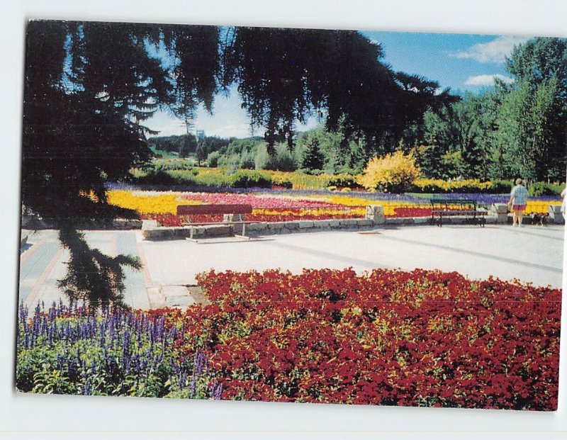 Postcard View among the floral plantings, International Peace Garden