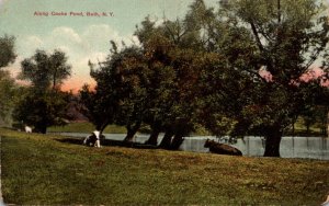 New York Bath Scene Along Cooks Pond 1909