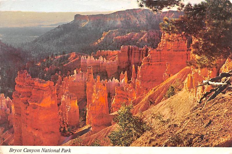 Bryce Canyon National Park   Utah 