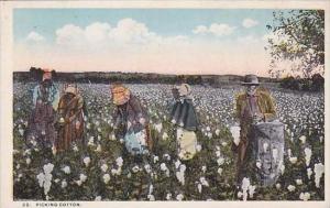 Black Americana Picking Cotton