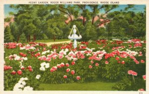 Vintage Postcard 1930's Peony Garden Roger Williams Park Providence Rhode Island