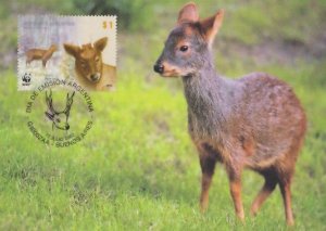 Southern Pudu Deer Argentina WWF Stamp First Day Cover Postcard