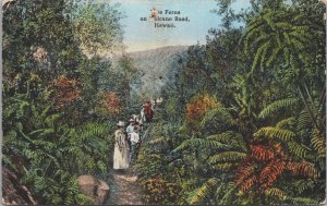 Hawaii The Ferns On Volcano Road Hawaii Vintage Postcard C189