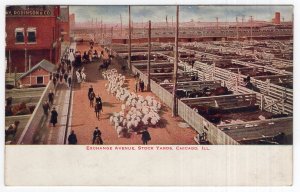 Chicago, ILL, Exchange Avenue, Stock Yards