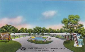 Florida Silver Springs Spring Side Motel