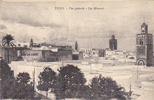 Tunisia Tunis Vue generale Les Minarets