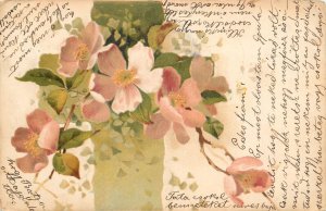 Postcard 1899 blossom flowers