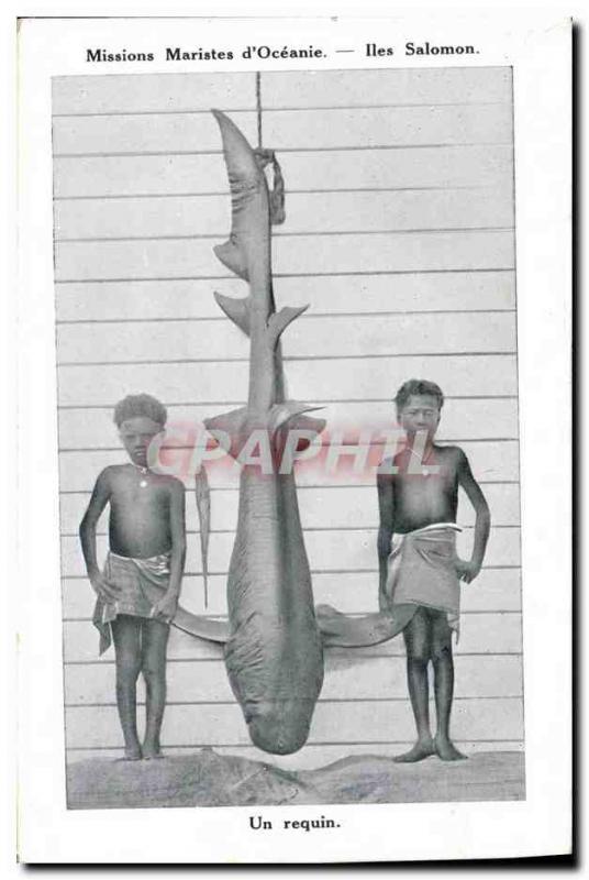 Old Postcard Fishing Missions Marist d & # 39Oceanie Solomon Islands Shark
